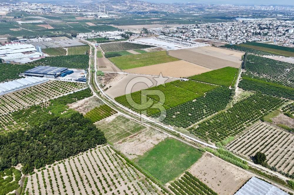 Mersin Akdeniz Evci Mahallesinde 5643 m2 Yatırımlık Arazi