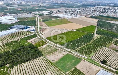 Mersin Akdeniz Evci Mahallesinde 5643 m2 Yatırımlık Arazi