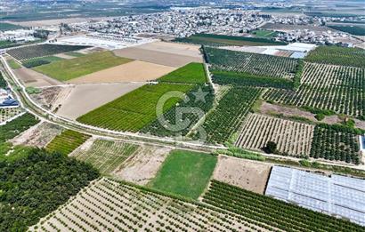 Mersin Akdeniz Evci Mahallesinde 5643 m2 Yatırımlık Arazi