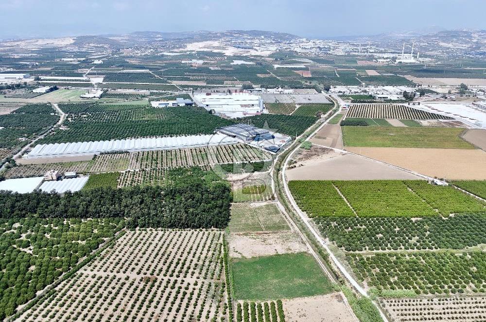 Mersin Akdeniz Evci Mahallesinde 5643 m2 Yatırımlık Arazi