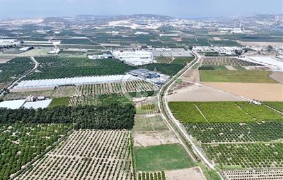 Mersin Akdeniz Evci Mahallesinde 5643 m2 Yatırımlık Arazi