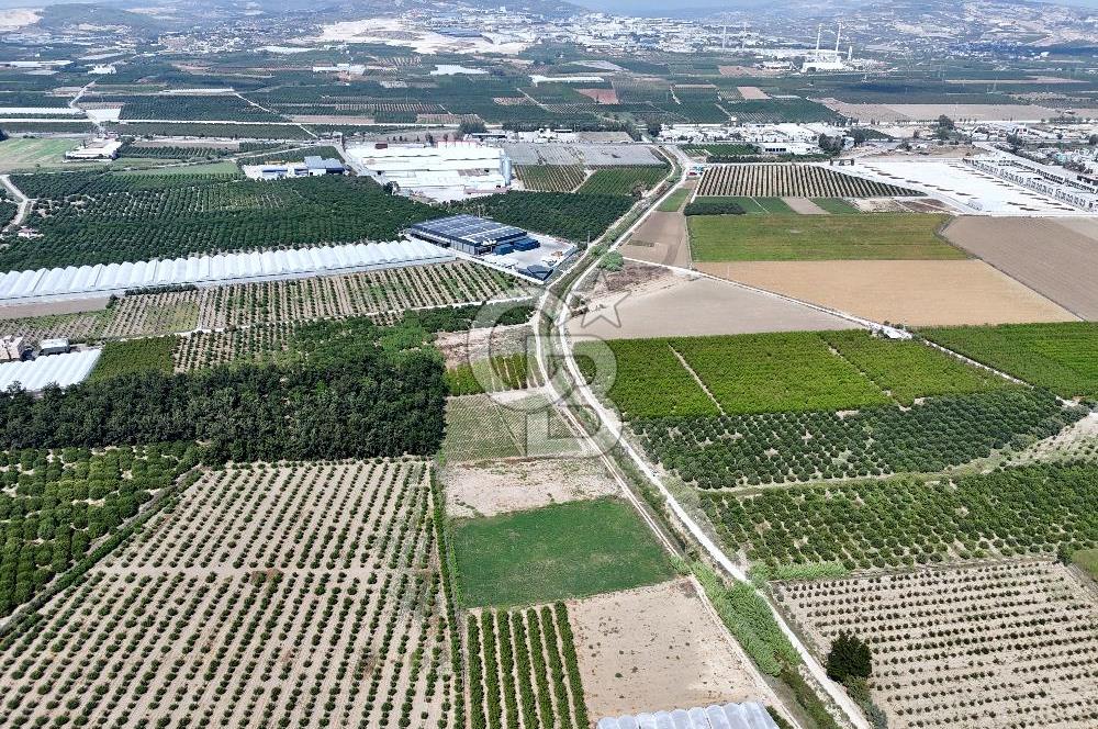 Mersin Akdeniz Evci Mahallesinde 5643 m2 Yatırımlık Arazi