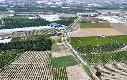 Mersin Akdeniz Evci Mahallesinde 5643 m2 Yatırımlık Arazi