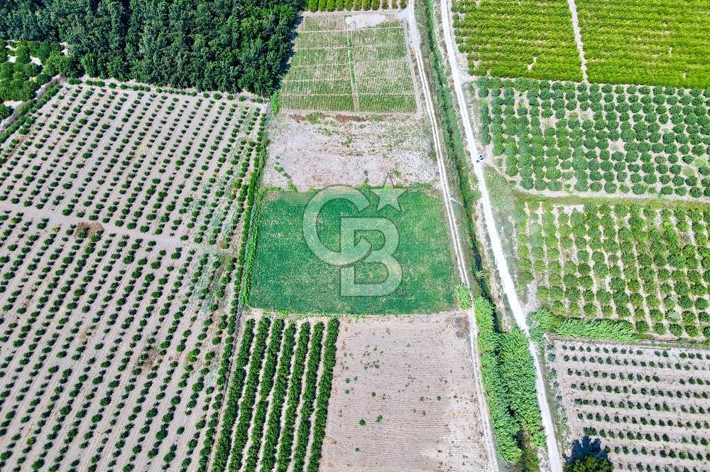 Mersin Akdeniz Evci Mahallesinde 5643 m2 Yatırımlık Arazi