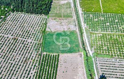 Mersin Akdeniz Evci Mahallesinde 5643 m2 Yatırımlık Arazi