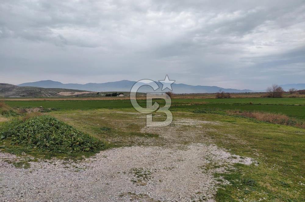Foça Gerenköy'de Yola Cepheli Tarla Fırsatı !
