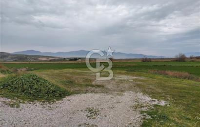 Foça Gerenköy'de Yola Cepheli Tarla Fırsatı !