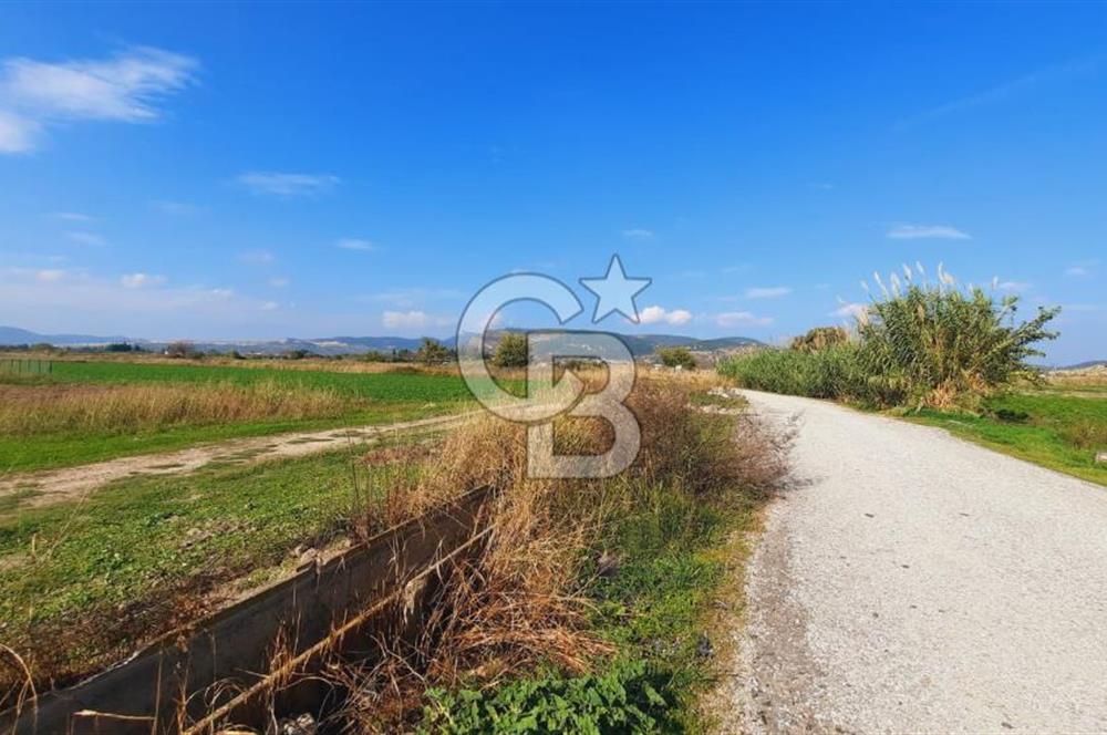 Foça Gerenköy'de Kemal Atatürk mah. Paylı Mülkiyet Tapulu Tarla