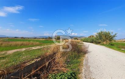 Foça Gerenköy'de Kemal Atatürk mah. Paylı Mülkiyet Tapulu Tarla