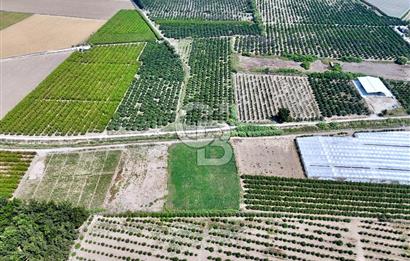 Mersin Akdeniz Evci Mahallesinde 5643 m2 Yatırımlık Arazi