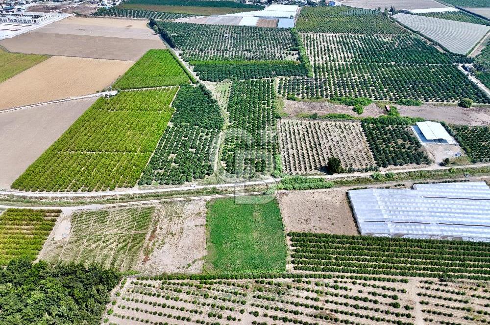 Mersin Akdeniz Evci Mahallesinde 5643 m2 Yatırımlık Arazi