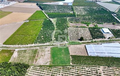Mersin Akdeniz Evci Mahallesinde 5643 m2 Yatırımlık Arazi