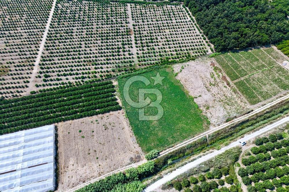 Mersin Akdeniz Evci Mahallesinde 5643 m2 Yatırımlık Arazi