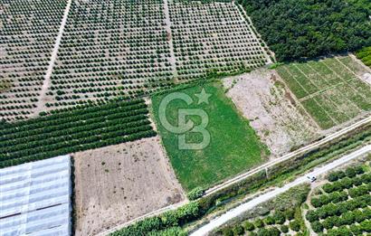 Mersin Akdeniz Evci Mahallesinde 5643 m2 Yatırımlık Arazi