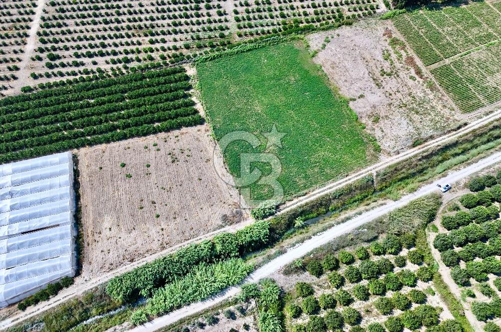 Mersin Akdeniz Evci Mahallesinde 5643 m2 Yatırımlık Arazi