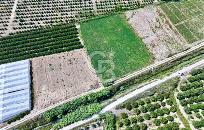 Mersin Akdeniz Evci Mahallesinde 5643 m2 Yatırımlık Arazi
