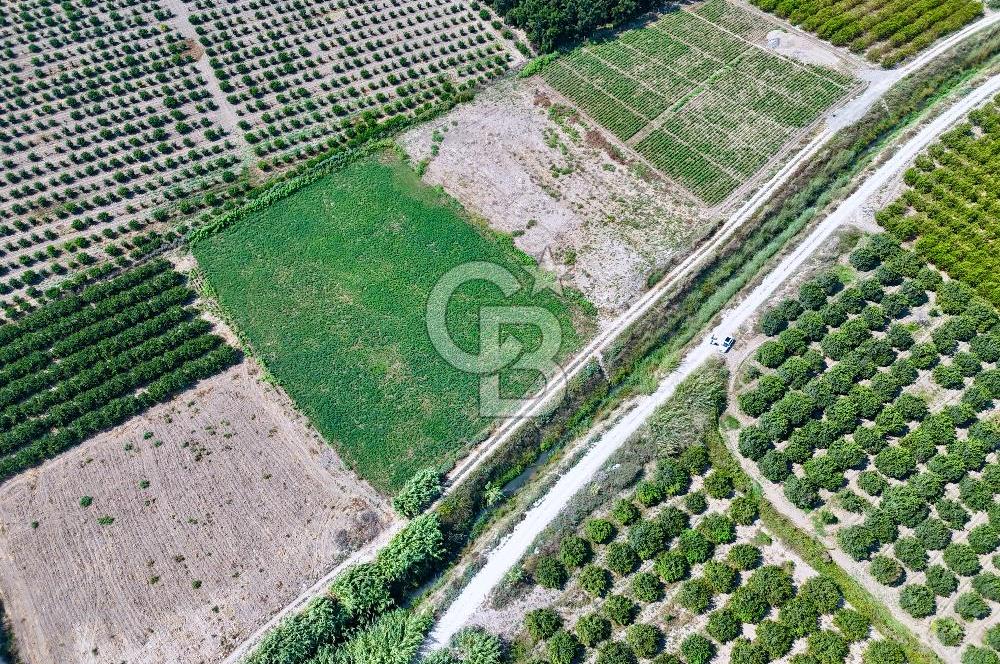 Mersin Akdeniz Evci Mahallesinde 5643 m2 Yatırımlık Arazi