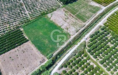 Mersin Akdeniz Evci Mahallesinde 5643 m2 Yatırımlık Arazi