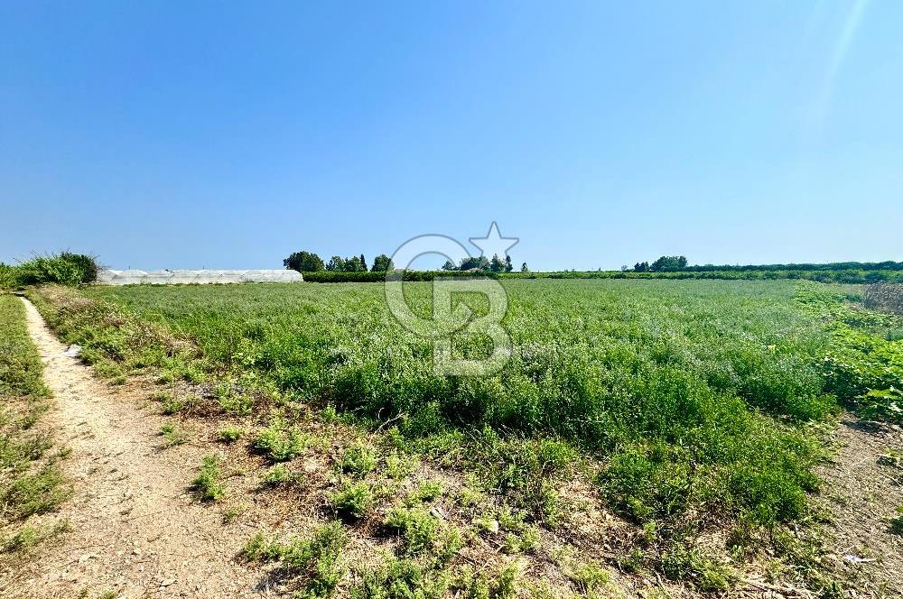 Mersin Akdeniz Evci Mahallesinde 5643 m2 Yatırımlık Arazi