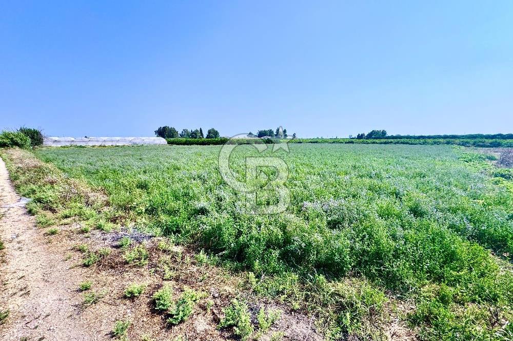 Mersin Akdeniz Evci Mahallesinde 5643 m2 Yatırımlık Arazi