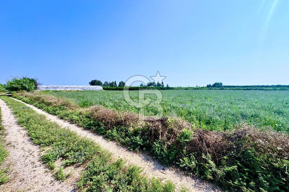 Mersin Akdeniz Evci Mahallesinde 5643 m2 Yatırımlık Arazi