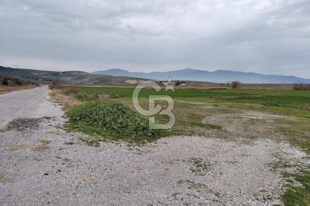 Foça Gerenköy'de Yola Cepheli Tarla Fırsatı !