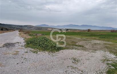 Foça Gerenköy'de Yola Cepheli Tarla Fırsatı !