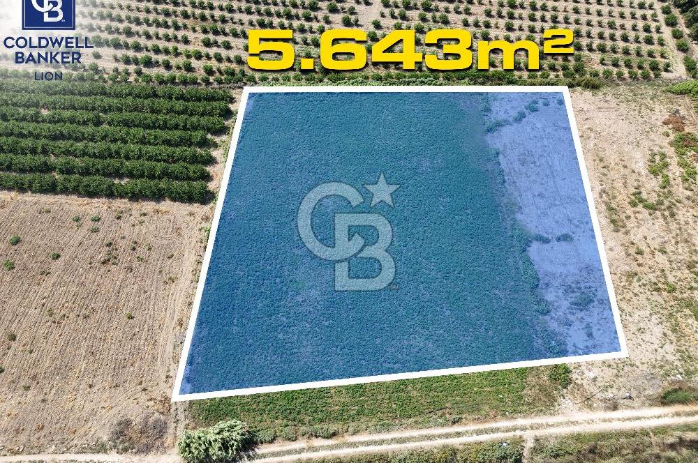 Mersin Akdeniz Evci Mahallesinde 5643 m2 Yatırımlık Arazi