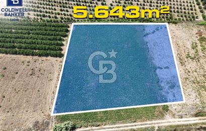 Mersin Akdeniz Evci Mahallesinde 5643 m2 Yatırımlık Arazi