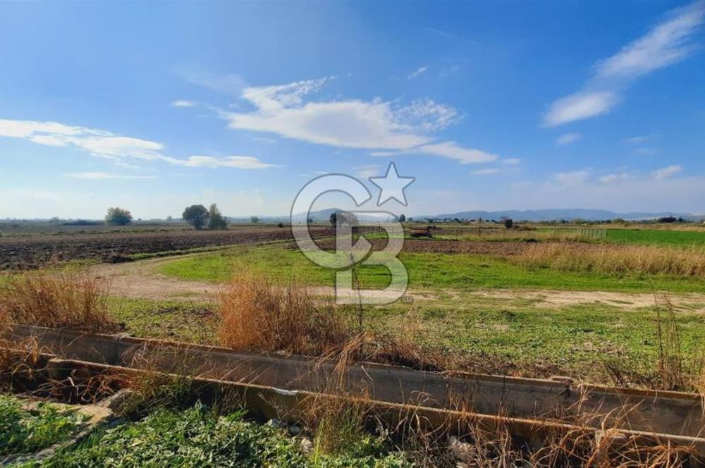 Foça Gerenköy'de Kemal Atatürk mah. Paylı Mülkiyet Tapulu Tarla