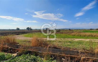 Foça Gerenköy'de Kemal Atatürk mah. Paylı Mülkiyet Tapulu Tarla