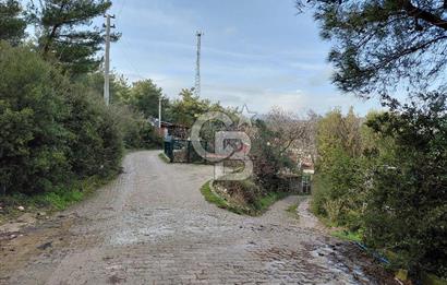 Çiçekliköy Merkezde Satılık Müstakil Tapulu Parsel