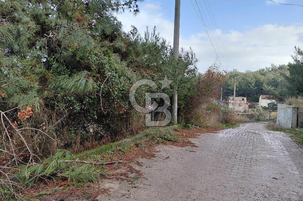 Çiçekliköy Merkezde Satılık Müstakil Tapulu Parsel