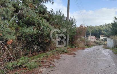 Çiçekliköy Merkezde Satılık Müstakil Tapulu Parsel