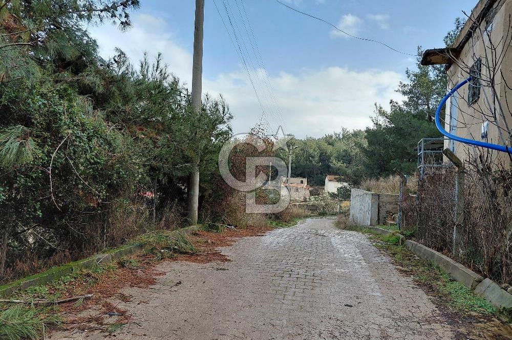 Çiçekliköy Merkezde Satılık Müstakil Tapulu Parsel