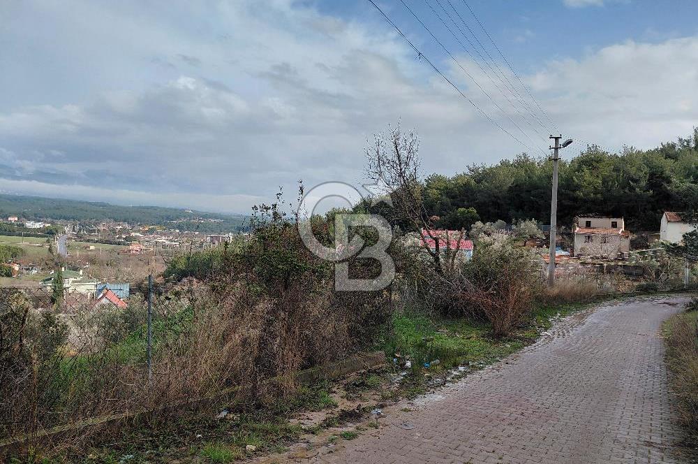 Çiçekliköy Merkezde Satılık Müstakil Tapulu Parsel