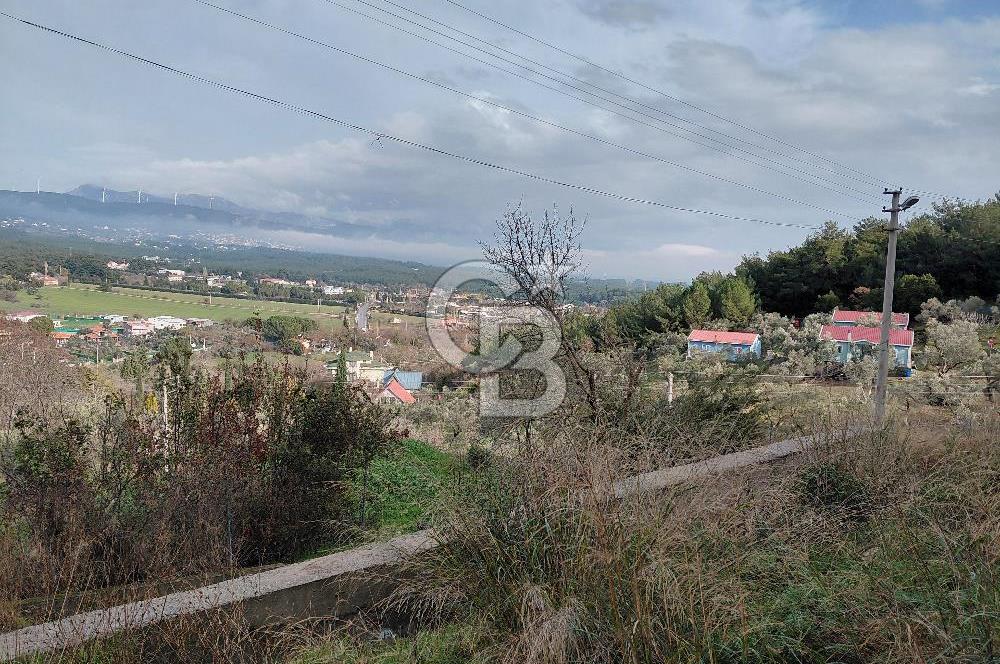 Çiçekliköy Merkezde Satılık Müstakil Tapulu Parsel