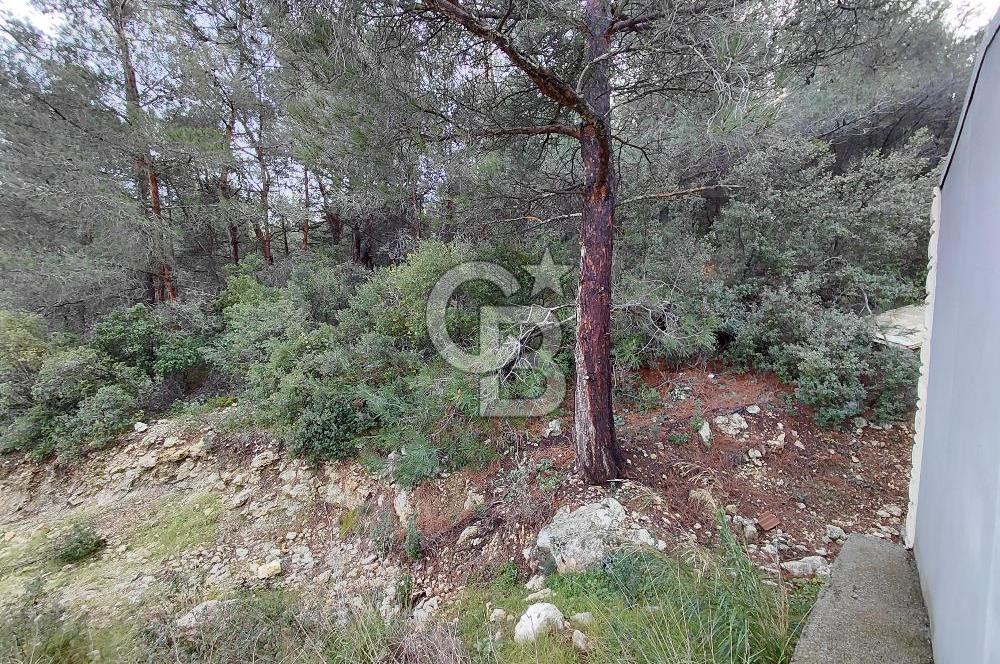 Çiçekliköy Merkezde Satılık Müstakil Tapulu Parsel