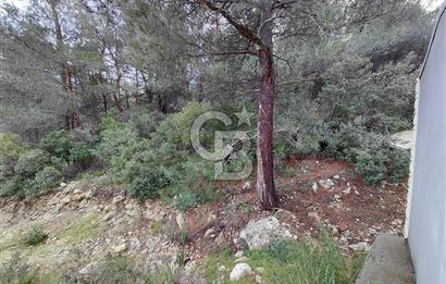 Çiçekliköy Merkezde Satılık Müstakil Tapulu Parsel