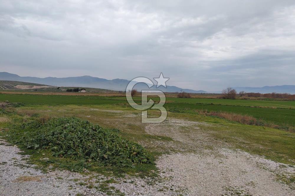 Foça Gerenköy'de Yola Cepheli Tarla Fırsatı !