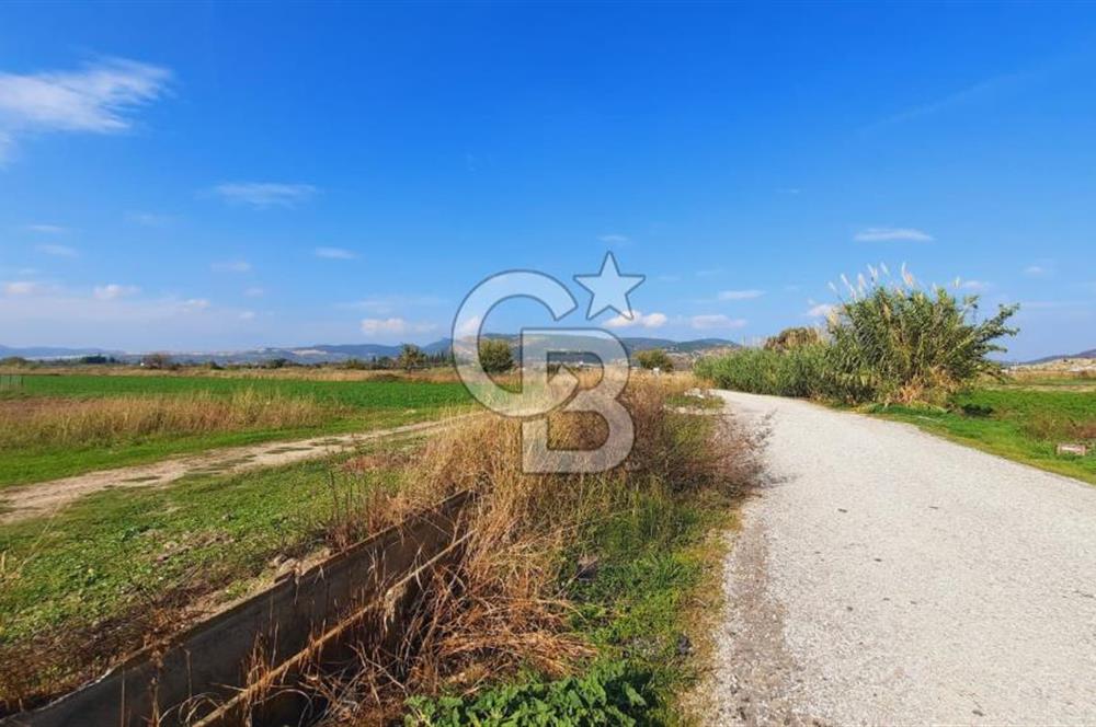 Foça Gerenköy'de Kemal Atatürk mah. Paylı Mülkiyet Tapulu Tarla