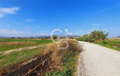 Foça Gerenköy'de Kemal Atatürk mah. Paylı Mülkiyet Tapulu Tarla