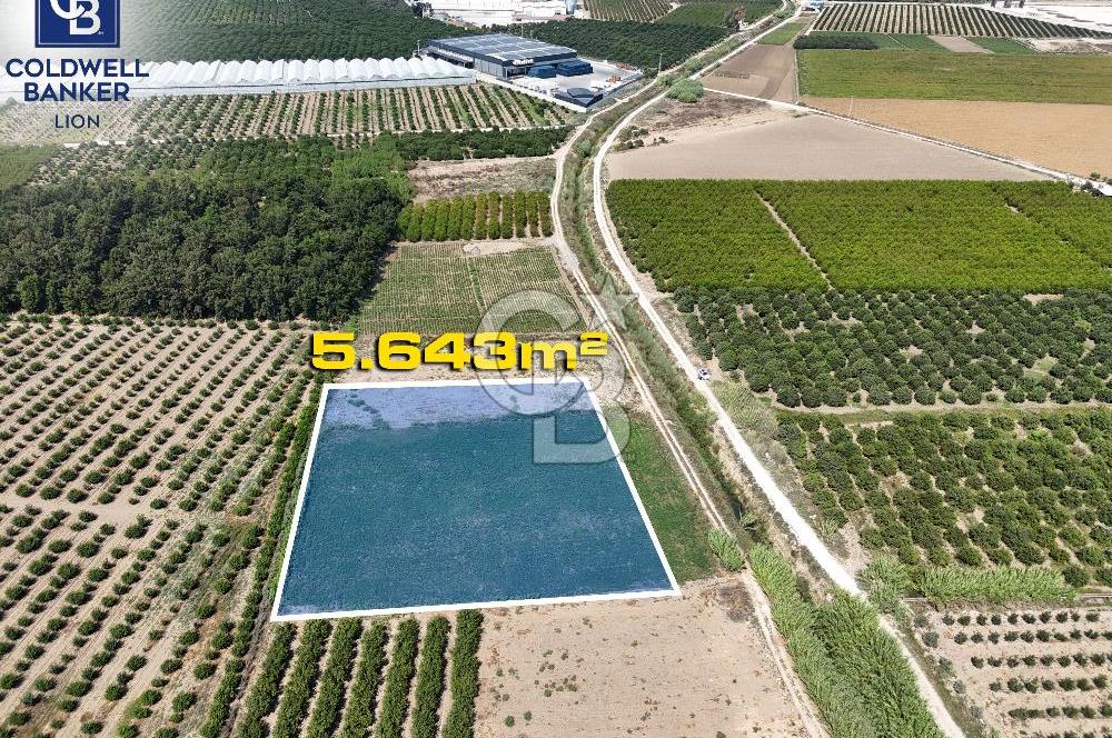 Mersin Akdeniz Evci Mahallesinde 5643 m2 Yatırımlık Arazi
