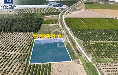 Mersin Akdeniz Evci Mahallesinde 5643 m2 Yatırımlık Arazi