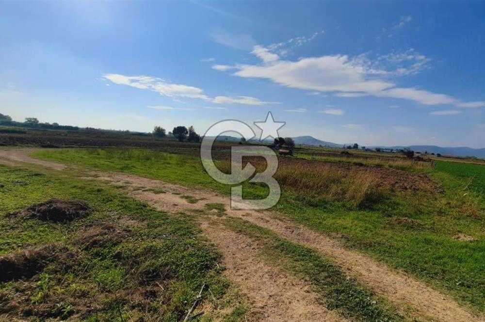 Foça Gerenköy'de Kemal Atatürk mah. Paylı Mülkiyet Tapulu Tarla