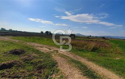 Foça Gerenköy'de Kemal Atatürk mah. Paylı Mülkiyet Tapulu Tarla