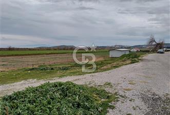 Foça Gerenköy'de Yola Cepheli Tarla Fırsatı ! - 9 - 330891