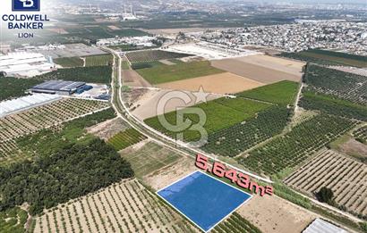 Mersin Akdeniz Evci Mahallesinde 5643 m2 Yatırımlık Arazi