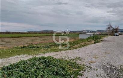 Foça Gerenköy'de Yola Cepheli Tarla Fırsatı !