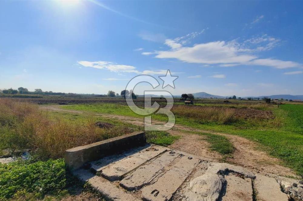 Foça Gerenköy'de Kemal Atatürk mah. Paylı Mülkiyet Tapulu Tarla